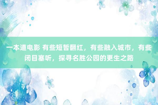 一本道电影 有些短暂翻红，有些融入城市，有些闭目塞听，探寻名胜公园的更生之路