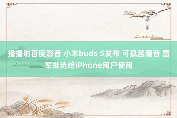 撸撸射百度影音 小米buds 5发布 可孤苦灌音 雷军推选给iPhone用户使用