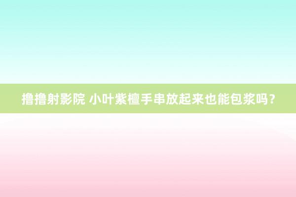 撸撸射影院 小叶紫檀手串放起来也能包浆吗？