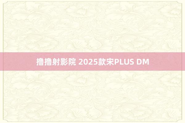 撸撸射影院 2025款宋PLUS DM