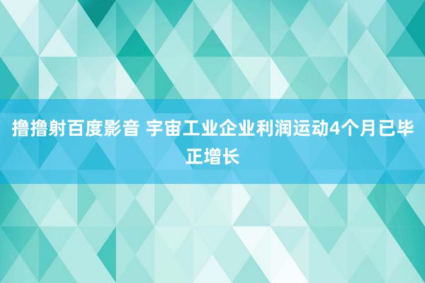 撸撸射百度影音 宇宙工业企业利润运动4个月已毕正增长