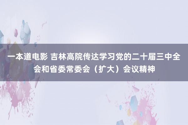 一本道电影 吉林高院传达学习党的二十届三中全会和省委常委会（扩大）会议精神