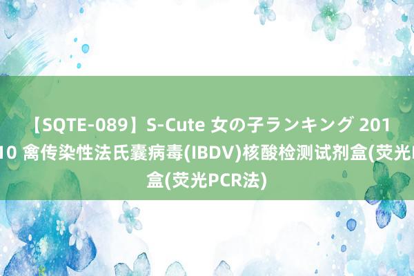 【SQTE-089】S-Cute 女の子ランキング 2015 TOP10 禽传染性法氏囊病毒(IBDV)核酸检测试剂盒(荧光PCR法)