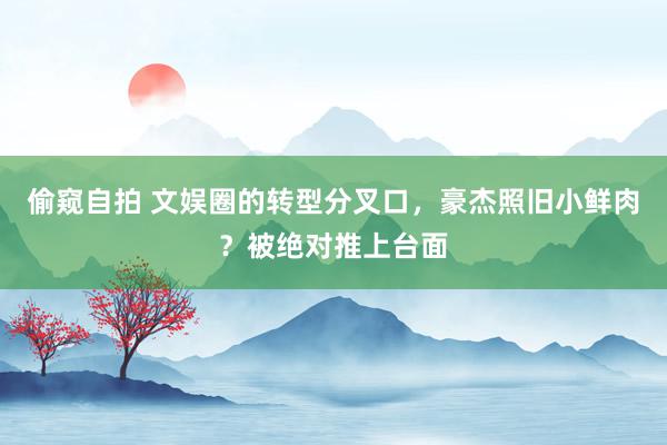 偷窥自拍 文娱圈的转型分叉口，豪杰照旧小鲜肉？被绝对推上台面