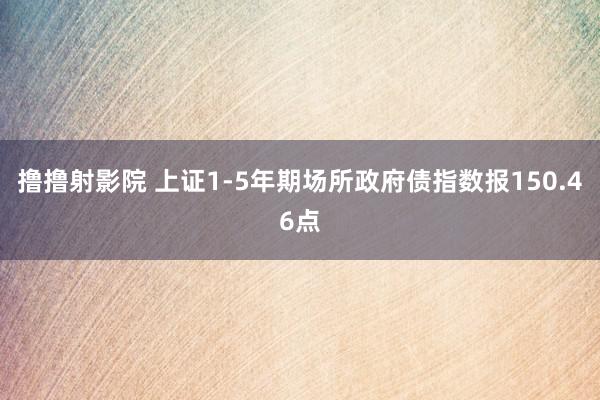 撸撸射影院 上证1-5年期场所政府债指数报150.46点