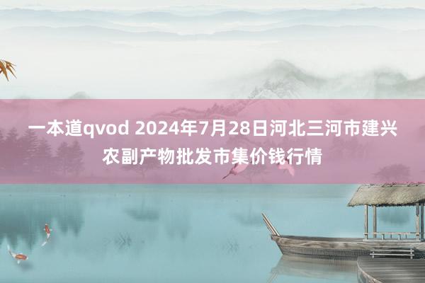 一本道qvod 2024年7月28日河北三河市建兴农副产物批发市集价钱行情