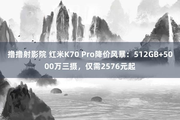 撸撸射影院 红米K70 Pro降价风暴：512GB+5000万三摄，仅需2576元起