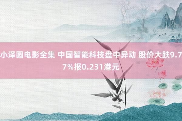 小泽圆电影全集 中国智能科技盘中异动 股价大跌9.77%报0.231港元