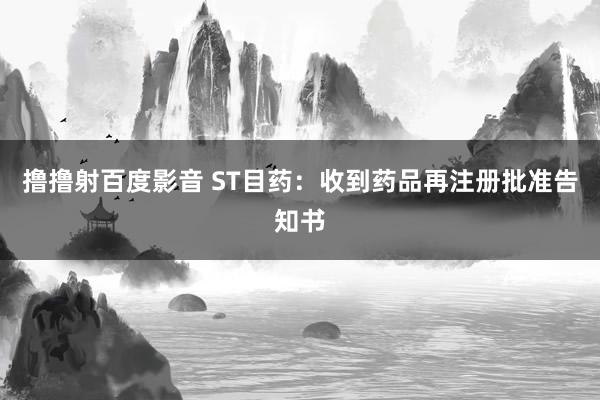 撸撸射百度影音 ST目药：收到药品再注册批准告知书