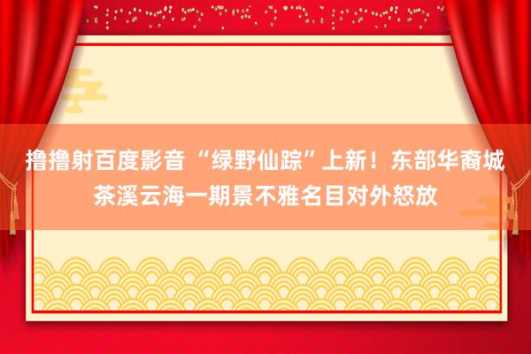 撸撸射百度影音 “绿野仙踪”上新！东部华裔城茶溪云海一期景不雅名目对外怒放