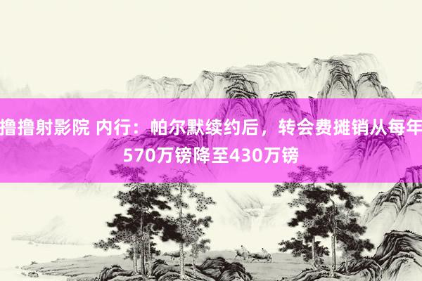 撸撸射影院 内行：帕尔默续约后，转会费摊销从每年570万镑降至430万镑