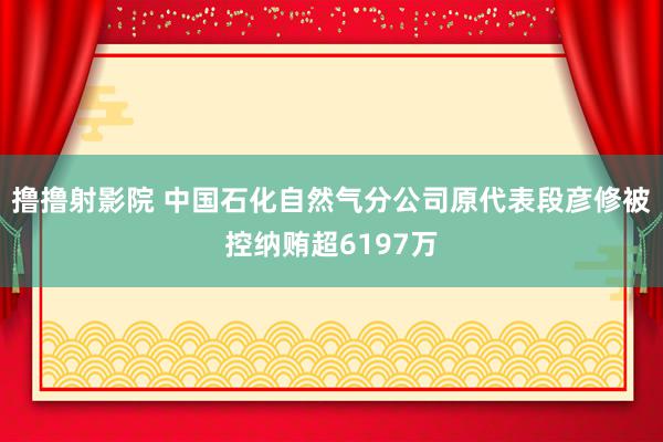 撸撸射影院 中国石化自然气分公司原代表段彦修被控纳贿超6197万