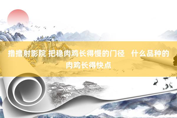 撸撸射影院 把稳肉鸡长得慢的门径   什么品种的肉鸡长得快点