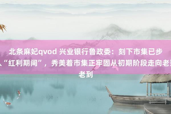 北条麻妃qvod 兴业银行鲁政委：刻下市集已步入“红利期间”，秀美着市集正牢固从初期阶段走向老到