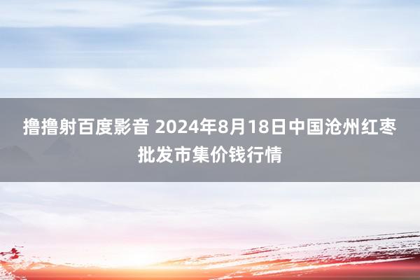 撸撸射百度影音 2024年8月18日中国沧州红枣批发市集价钱行情