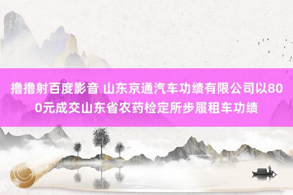 撸撸射百度影音 山东京通汽车功绩有限公司以800元成交山东省农药检定所步履租车功绩