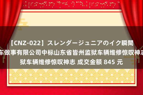 【CNZ-022】スレンダージュニアのイク瞬間 4時間 济南速驰汽车做事有限公司中标山东省皆州监狱车辆维修惊叹神志 成交金额 845 元