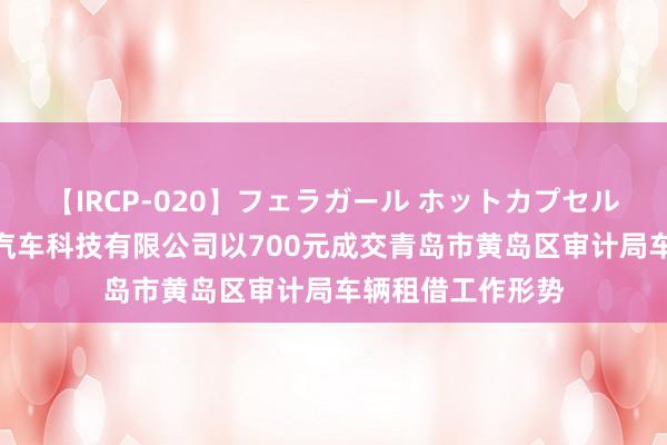 【IRCP-020】フェラガール ホットカプセル5 青岛浩博润达汽车科技有限公司以700元成交青岛市黄岛区审计局车辆租借工作形势