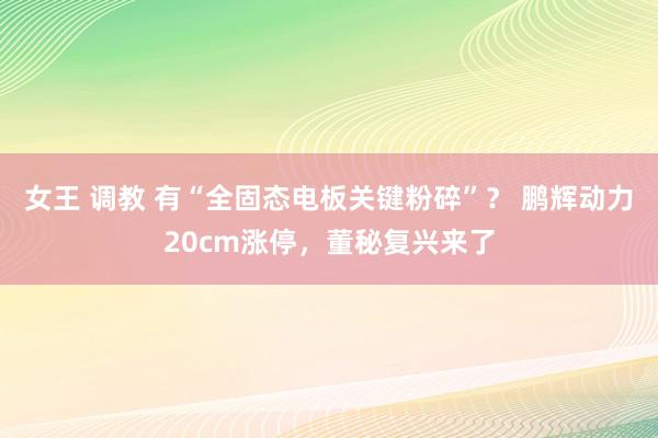 女王 调教 有“全固态电板关键粉碎”？ 鹏辉动力20cm涨停，董秘复兴来了