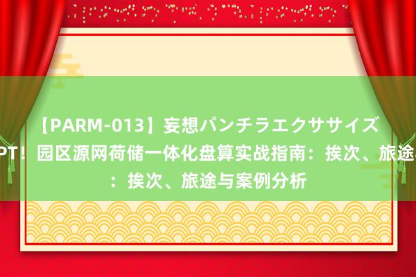 【PARM-013】妄想パンチラエクササイズ 中国能建PPT！园区源网荷储一体化盘算实战指南：挨次、旅途与案例分析