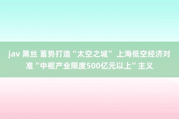 jav 黑丝 蓄势打造“太空之城” 上海低空经济对准“中枢产业限度500亿元以上”主义