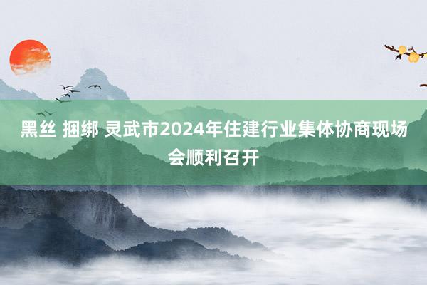 黑丝 捆绑 灵武市2024年住建行业集体协商现场会顺利召开