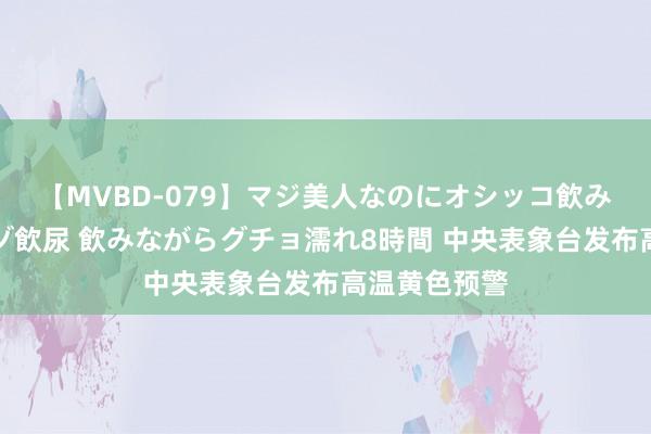 【MVBD-079】マジ美人なのにオシッコ飲みまくり！マゾ飲尿 飲みながらグチョ濡れ8時間 中央表象台发布高温黄色预警