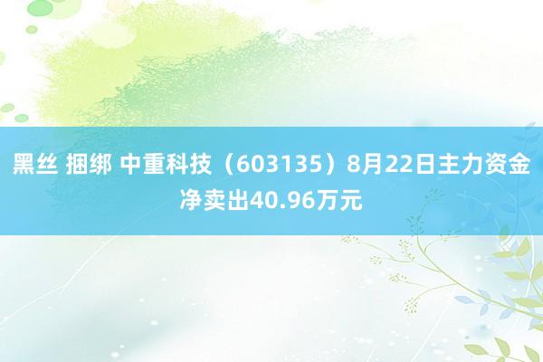 黑丝 捆绑 中重科技（603135）8月22日主力资金净卖出40.96万元